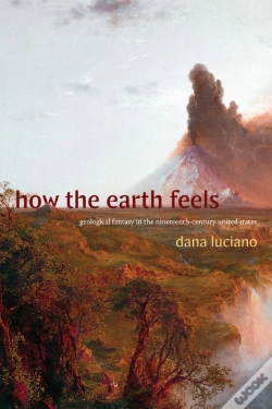 Capa do artigo How The Earth Feels