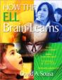 How The Ell Brain Learns - Preview