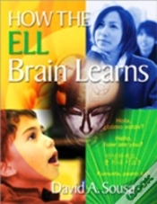 Capa do artigo How The Ell Brain Learns