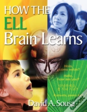 Capa do artigo How The Ell Brain Learns
