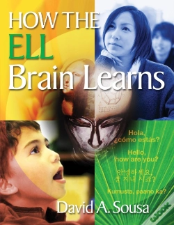 Capa do artigo How The Ell Brain Learns