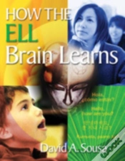 Capa do artigo How The Ell Brain Learns