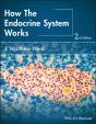 How The Endocrine System Works - Preview