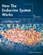How The Endocrine System Works - Preview