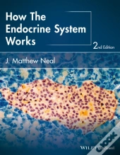 How The Endocrine System Works
