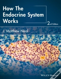 Capa do artigo How The Endocrine System Works