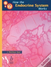 Capa do artigo How The Endocrine System Works