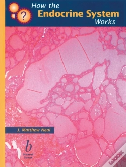 Capa do artigo How The Endocrine System Works