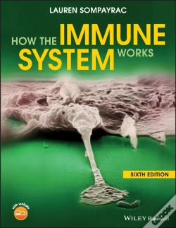 Capa do artigo How The Immune System Works