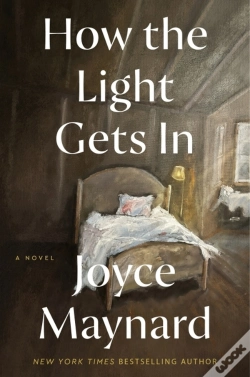Capa do artigo How The Light Gets In