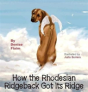 How The Rhodesian Ridgeback Got Its Ridge - Preview