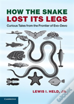 How The Snake Lost Its Legs
