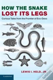 How The Snake Lost Its Legs