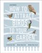 How To Attract Birds To Your Garden - Preview