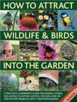 Capa do artigo How To Attract Wildlife Birds Garden Pk
