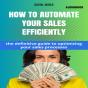 How To Automate Your Sales With Efficiency (Audiobook) - Preview