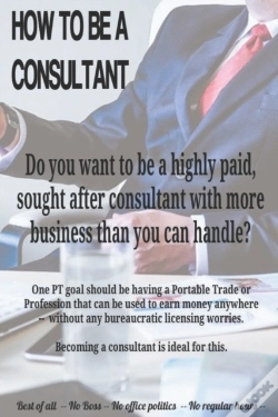 Capa do artigo How To Be A Consultant