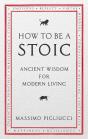 How To Be A Stoic - Preview