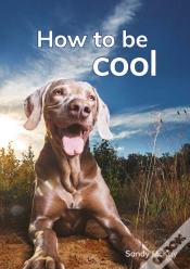 Capa do artigo How To Be Cool