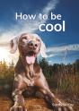 How To Be Cool - Preview
