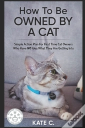 How To Be Owned By A Cat: Simple Action
