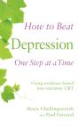 How To Beat Depression One Step At A Time - Preview