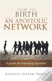 How To Birth An Apostolic Network