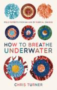 How To Breathe Underwater