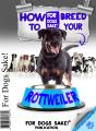 How To Breed Your Rottweiler Responsibly - Preview