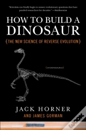 How To Build A Dinosaur