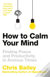 Capa do artigo How To Calm Your Mind