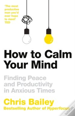 Capa do artigo How To Calm Your Mind