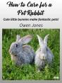 How To Care For A Pet Rabbit - Preview