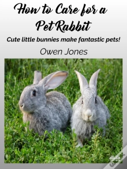 Capa do artigo How To Care For A Pet Rabbit