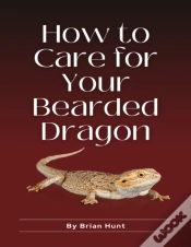 Capa do artigo How To Care For Your Bearded Dragon