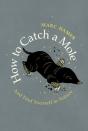 How To Catch A Mole - Preview