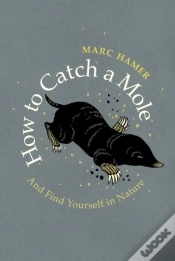 Capa do artigo How To Catch A Mole