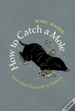 Capa do artigo How To Catch A Mole
