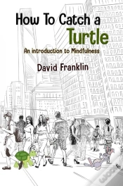 Capa do artigo How To Catch A Turtle