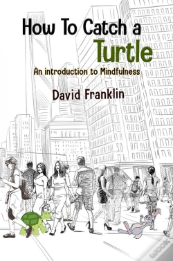 Capa do artigo How To Catch A Turtle