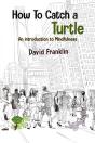How To Catch A Turtle - Preview