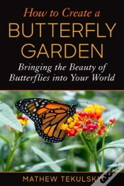 Capa do artigo How To Create A Butterfly Garden