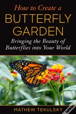 Capa do artigo How To Create A Butterfly Garden
