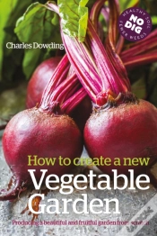 Capa do artigo How To Create A New Vegetable Garden