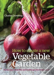 Capa do artigo How To Create A New Vegetable Garden