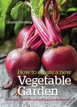 Capa do artigo How To Create A New Vegetable Garden