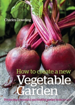 Capa do artigo How To Create A New Vegetable Garden