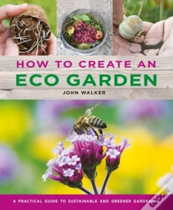 Capa do artigo How To Create An Eco Garden