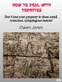 How To Deal With Termites - Preview