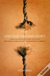 Capa do artigo How To Do Your Own Divorce